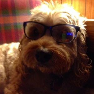 Meet your Posher, Keith